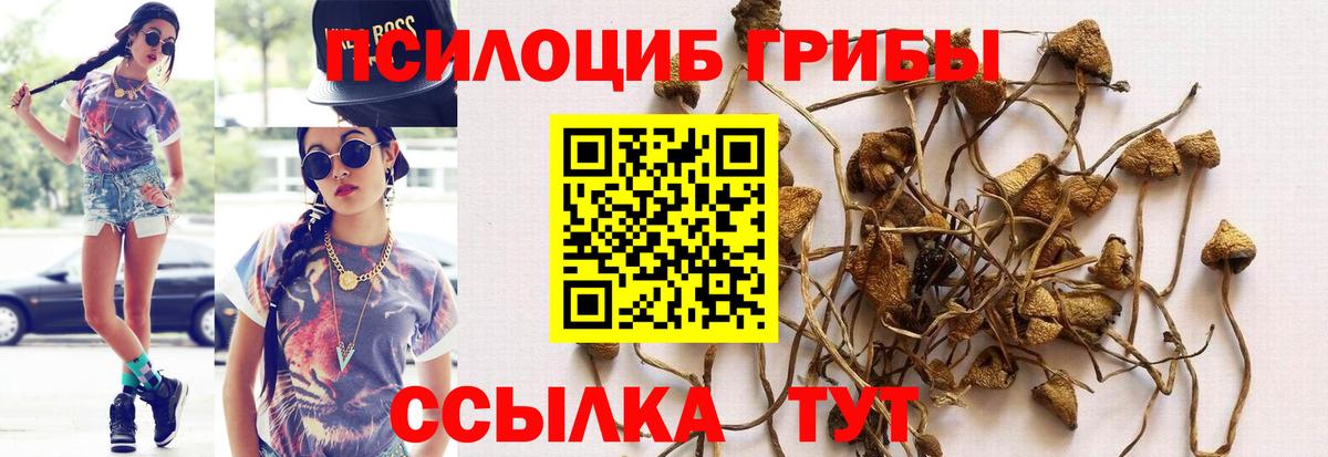 Псилоцибиновые грибы Magic Shrooms Алапаевск