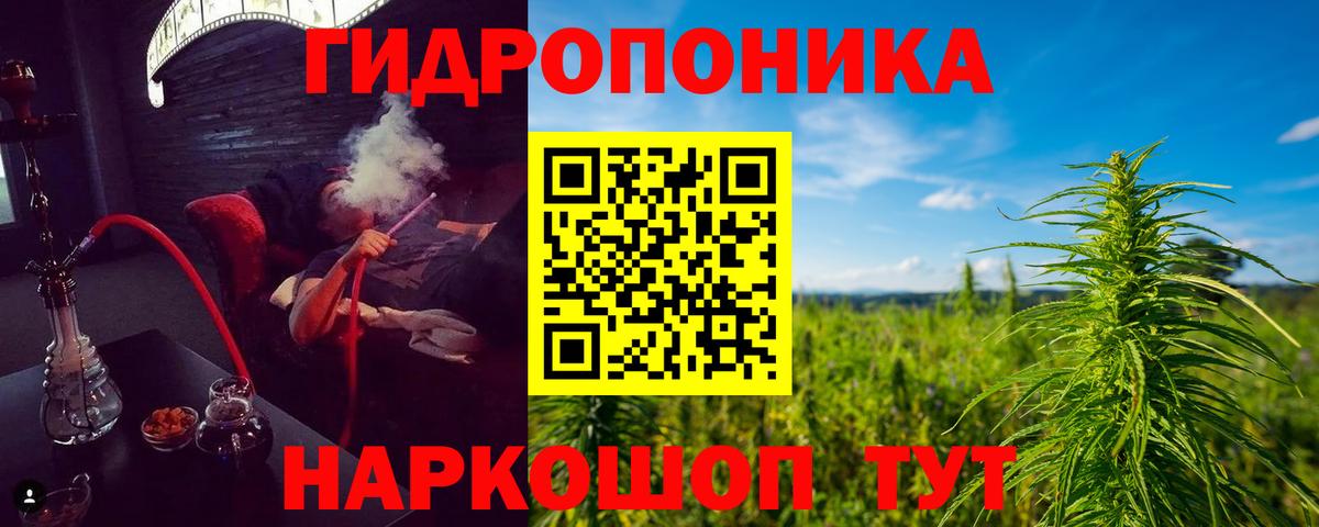 Бошки Шишки планчик  Марихуана тримм  Шишки марихуана SATIVA & INDICA  Вход с VPN  Алапаевск  Бошки марихуана конопля 